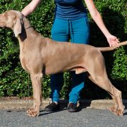 Contact with Marvel Atagora