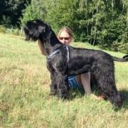 CONTESSA Herbu Końska Podkowa FCI