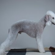 COQUET WATER MORE THAN I CAN SAY