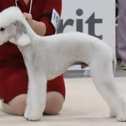 COQUET WATER MORE THAN I CAN SAY