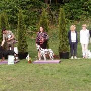 CORSICA Kontradomino 4