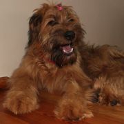 Coryska Cloe Trzy Korony 3