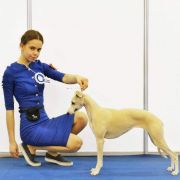 Crystal Soul Sidewinder's Pride