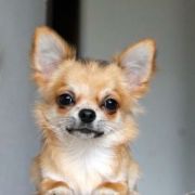 CRYSTAL WIND BEN FOSTER