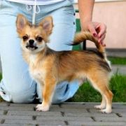 CRYSTAL WIND BEN FOSTER 2