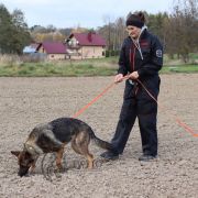 Cupcake van de Duca Vallei