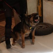 Cupcake van de Duca Vallei