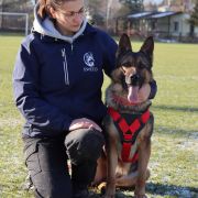 Cupcake van de Duca Vallei