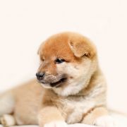 Czarny (kolor znacznika) 3