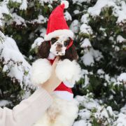 Queenzie AIN’T SHE SWEET