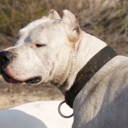 TANQUECITO DEL Ojo en la Mano 