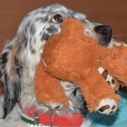 КАМ ХАНТИНГ ЕНА