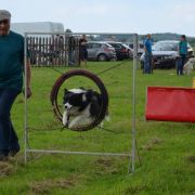 Borderforyou (FCI) ANGEL SZILA