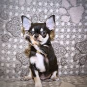 All At Once Emerald In Gold