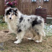 MONSOLANA Ranibow Sky