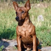 Astalante News Number One