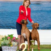 HOMER Pręgowce z Jasienia