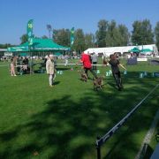 Dalia z Lasów Preczowskich