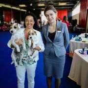 My Crackerjack's Royal Jewel