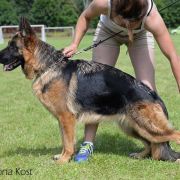 Розплідник