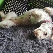 TREVINA Slim Extreme - TULLIA