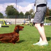 Sky Spirit UPRAVLYAY B VLASTVUY