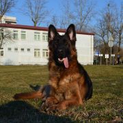 Dorikanaa von Skorpionenblut 