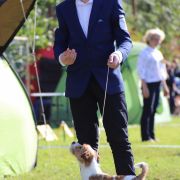 POSEJDON Lubelski Tropiciel FCI CH.Mołdawii 