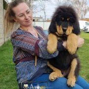 KING BRUCE LEE Arhat