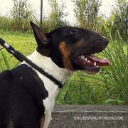 KALASHNIKOV Hexeside 