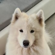 B'ZOE OF IDOL Magia Syberii 