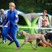 NANA GREY Weimarpark 2