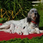 КАМ ХАНТИНГ ЕНА