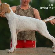 Hekla Beskid Point (FCI) 