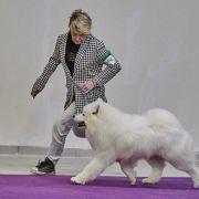 Zlat Imperiya Grand Dog In The World 