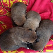 Miot Y.2 - Ambasadorowe Dzieci 