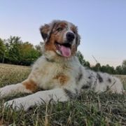 Damani Dream NO ONE ELSE