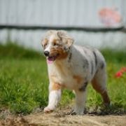 Damani Dream NO ONE ELSE 3