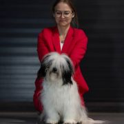 DASZEŃKA Dio Present