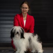 DASZEŃKA Dio Present