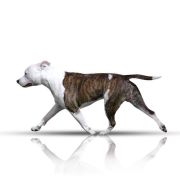 Proud to be Greek Archimedes