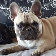 Bonita Rude Szczęście