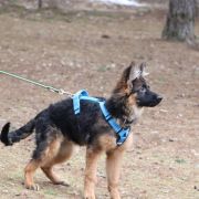 Craken vom Rikor Team