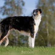 HYPNOTIZING XENA Impuls i Splendor