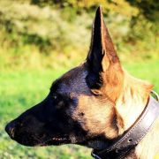 B-Aura spod Gazdorani