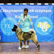 UKR JCH Reachy Action Sharon Florance