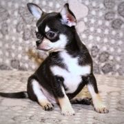 All At Once Emerald In Gold