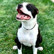 Proud to be Greek Cruella