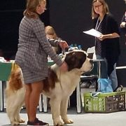 Yukon Wielkopolski Bernardyn (FCI)