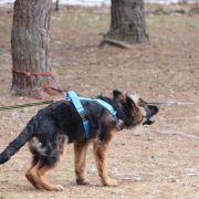 Craken vom Rikor Team